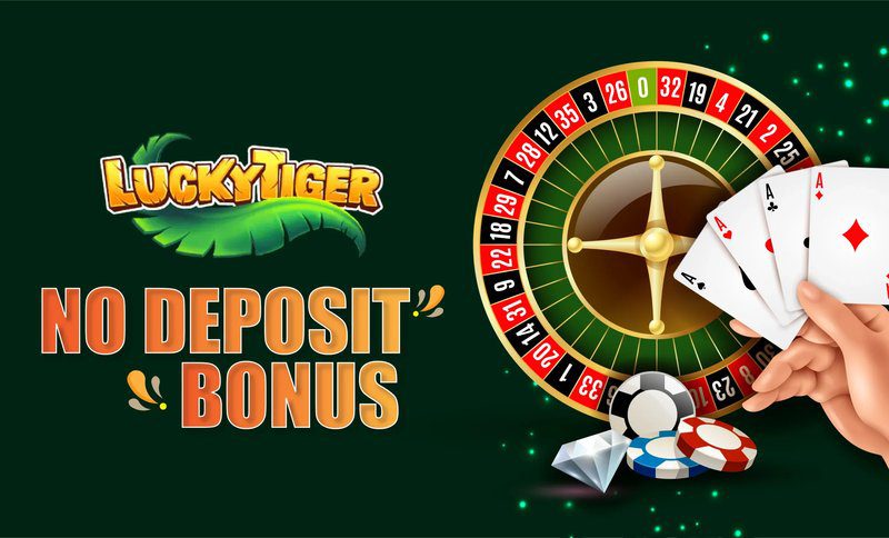 Guide to lizaro casino app